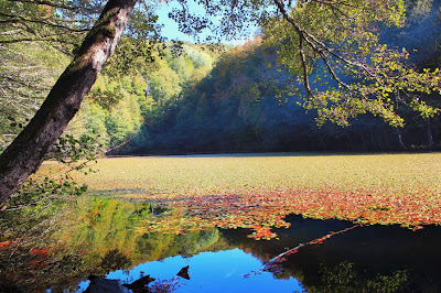 Lindo lago en otoño