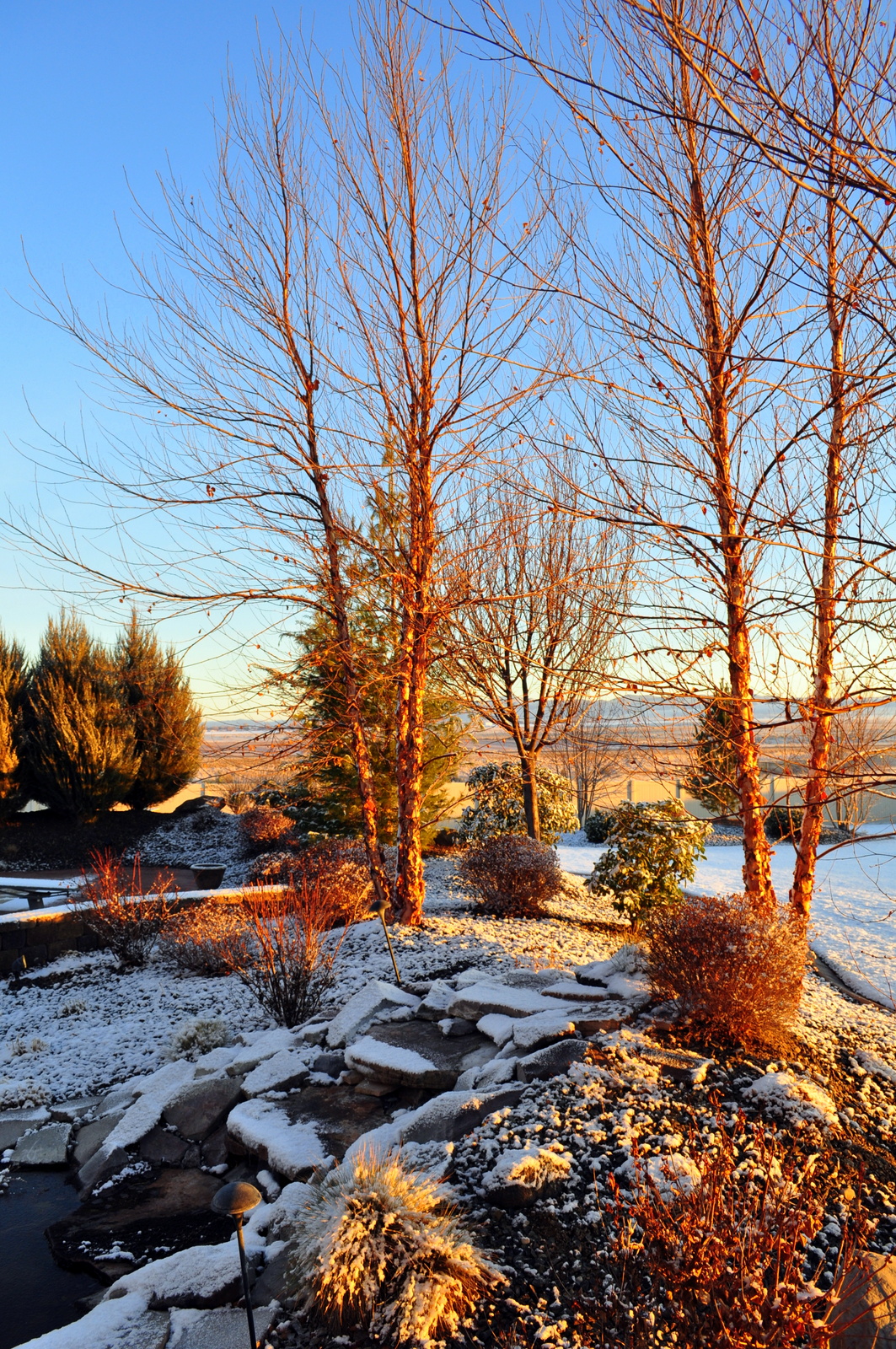 What Am I Doing? We Had A Light Dusting Of Snow This Morning