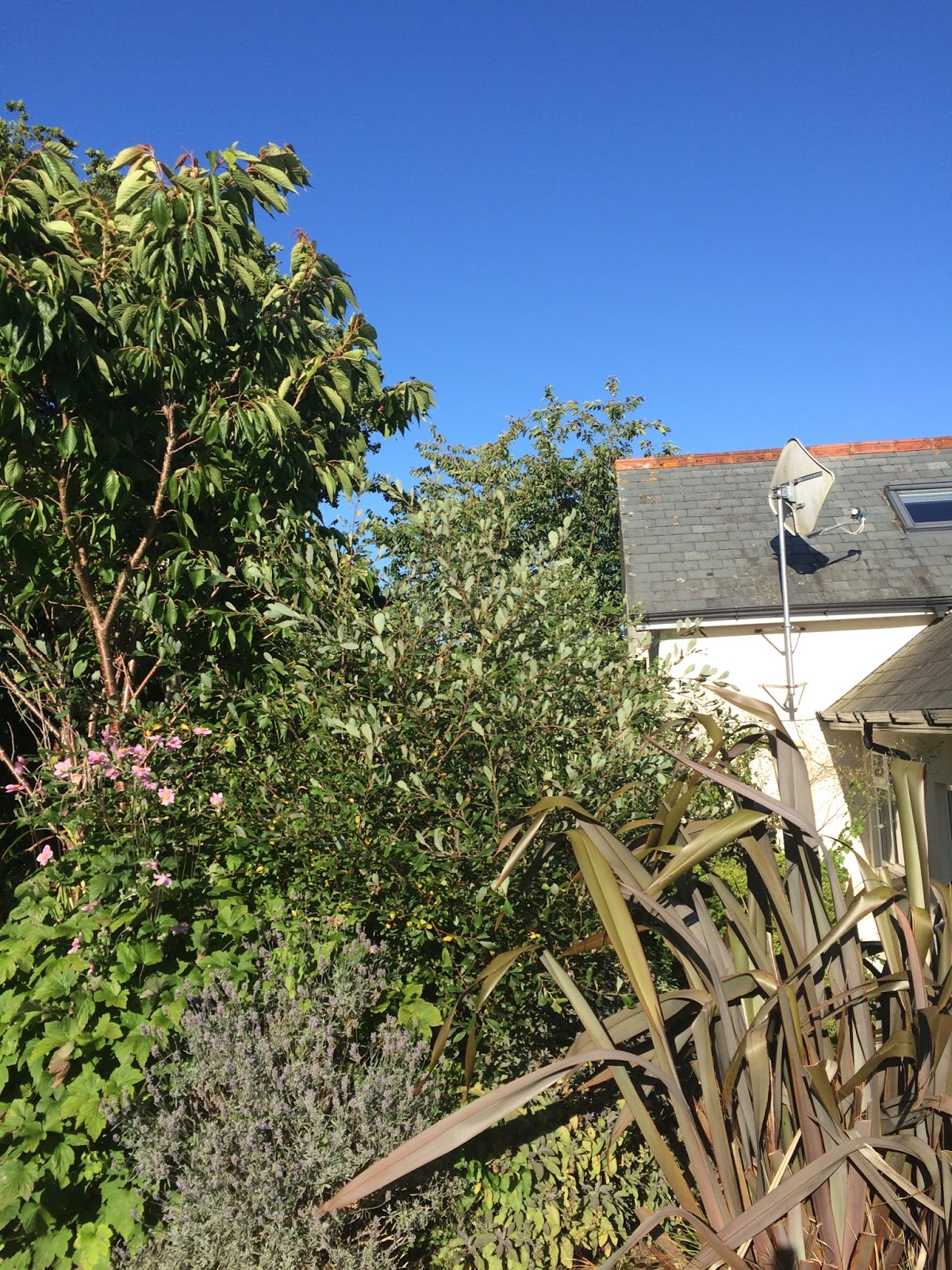 Review Our Holiday Home Rental From Toad Hall Cottages, Kingsbridge