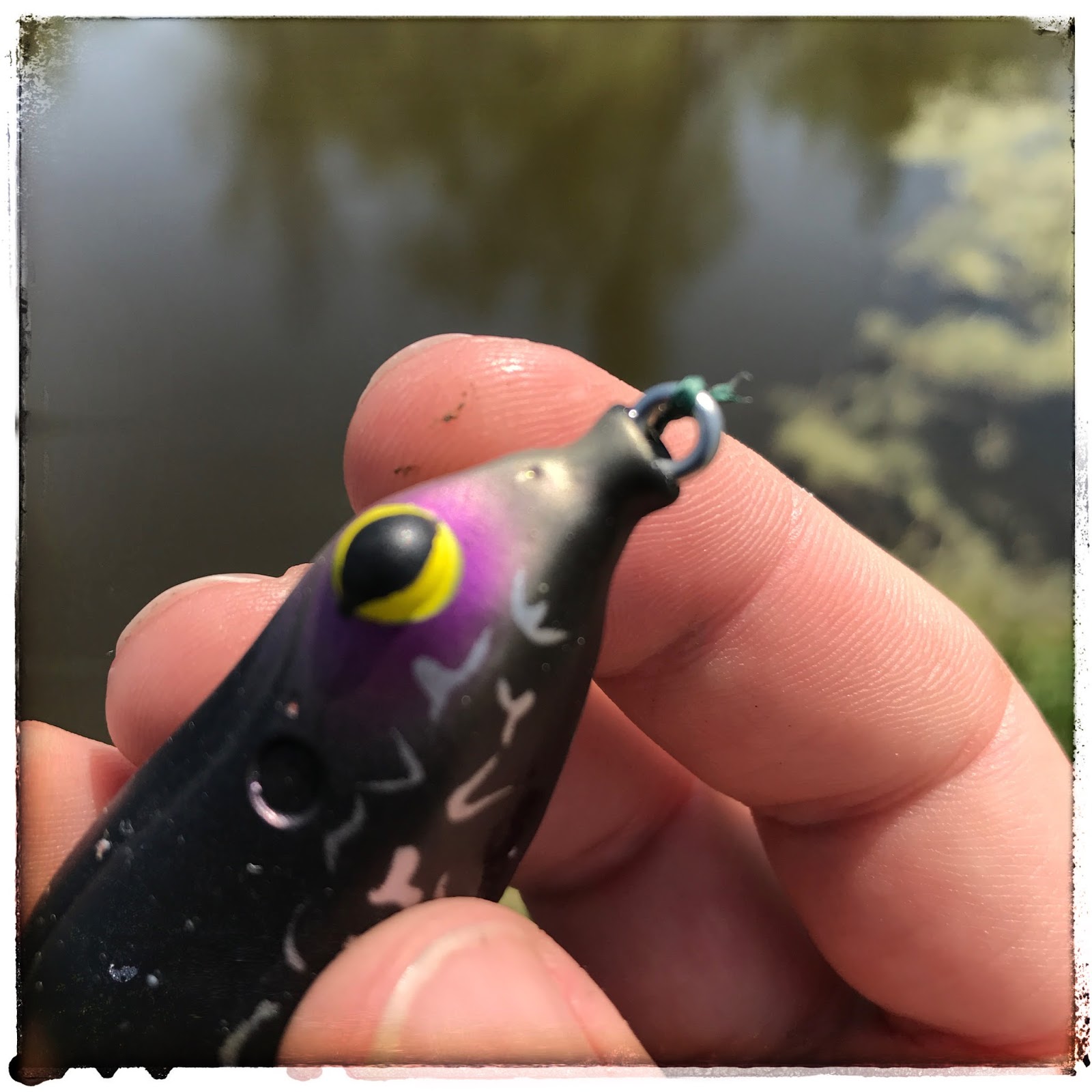 Bass Junkies Frog Pond: Teckel Lures - Sprinker Frog Review - Pre