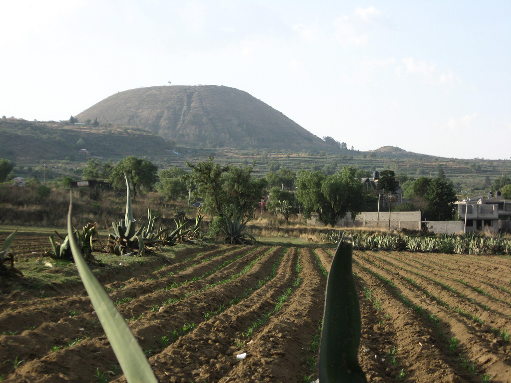 Historia de Xochimilco HISTORIA DE XOCHIMILCO