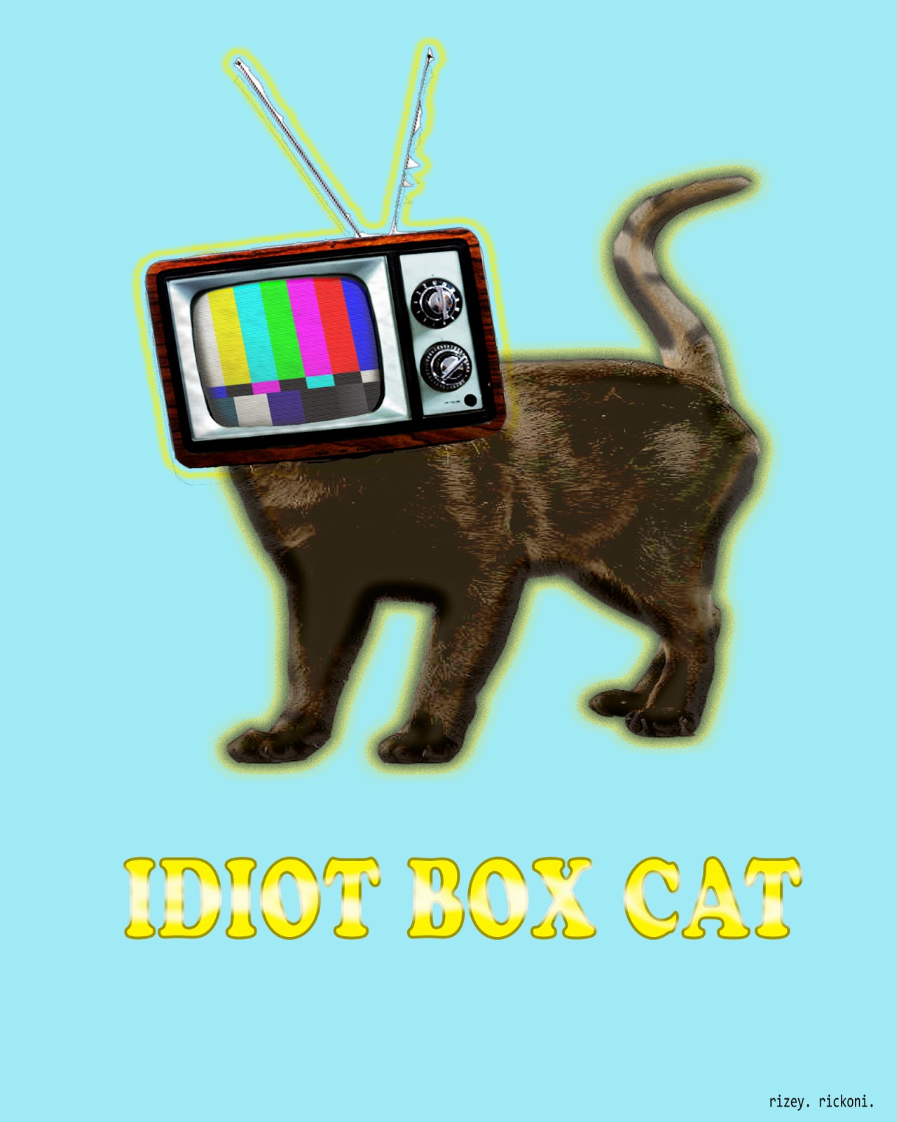 idiot-box-cat-origin-of-the-idiot-box-cat