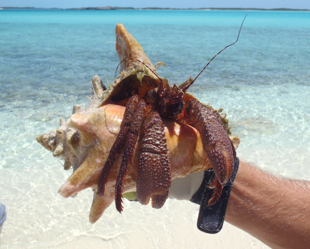 Adventures of s/v Tybee Time Family, Friends, and Fun
