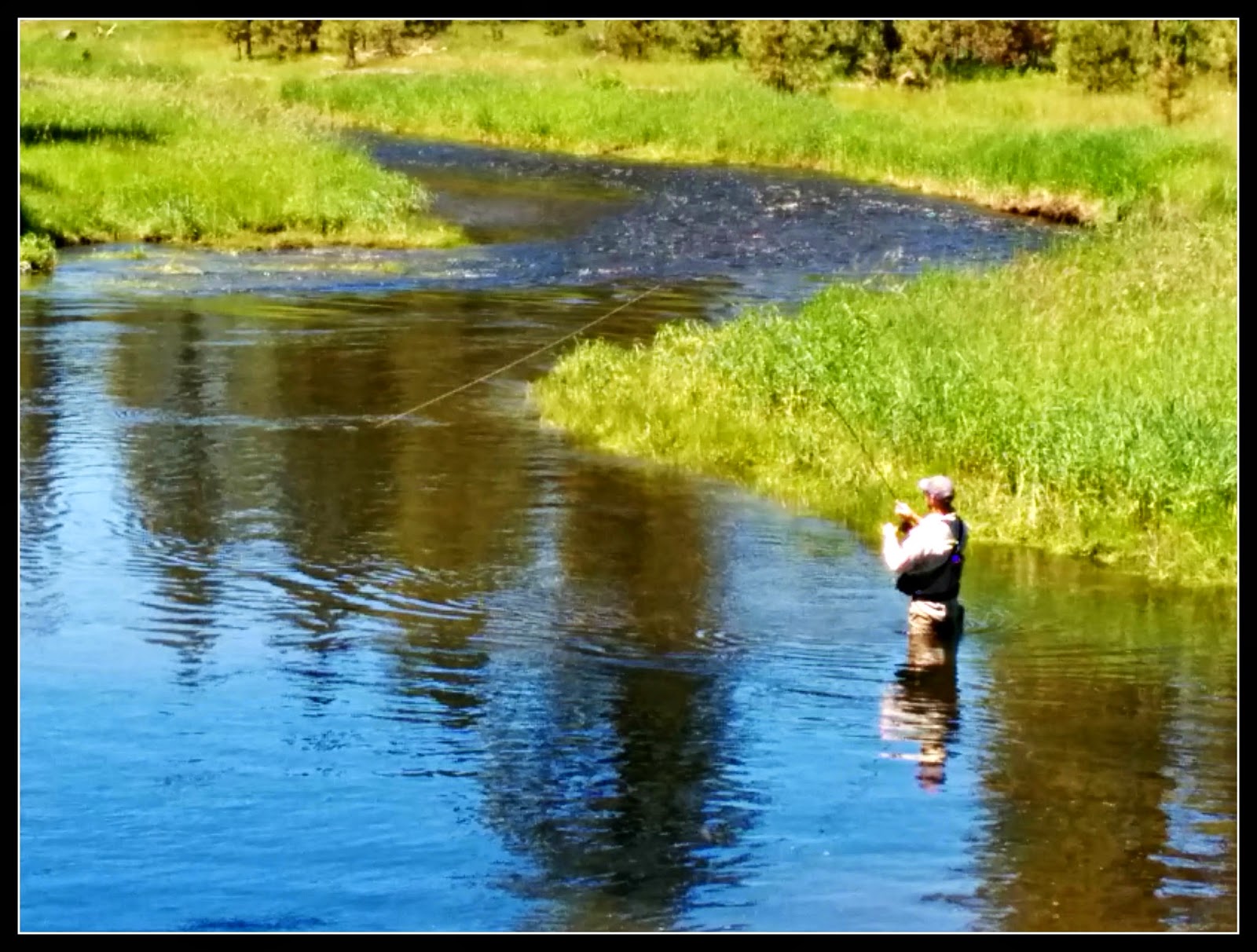 The Foam Line Fly Fishing New Meadows and the Little Salmon