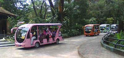 Attractions in Kuala Lumpur: National Zoo At Zoo Negara