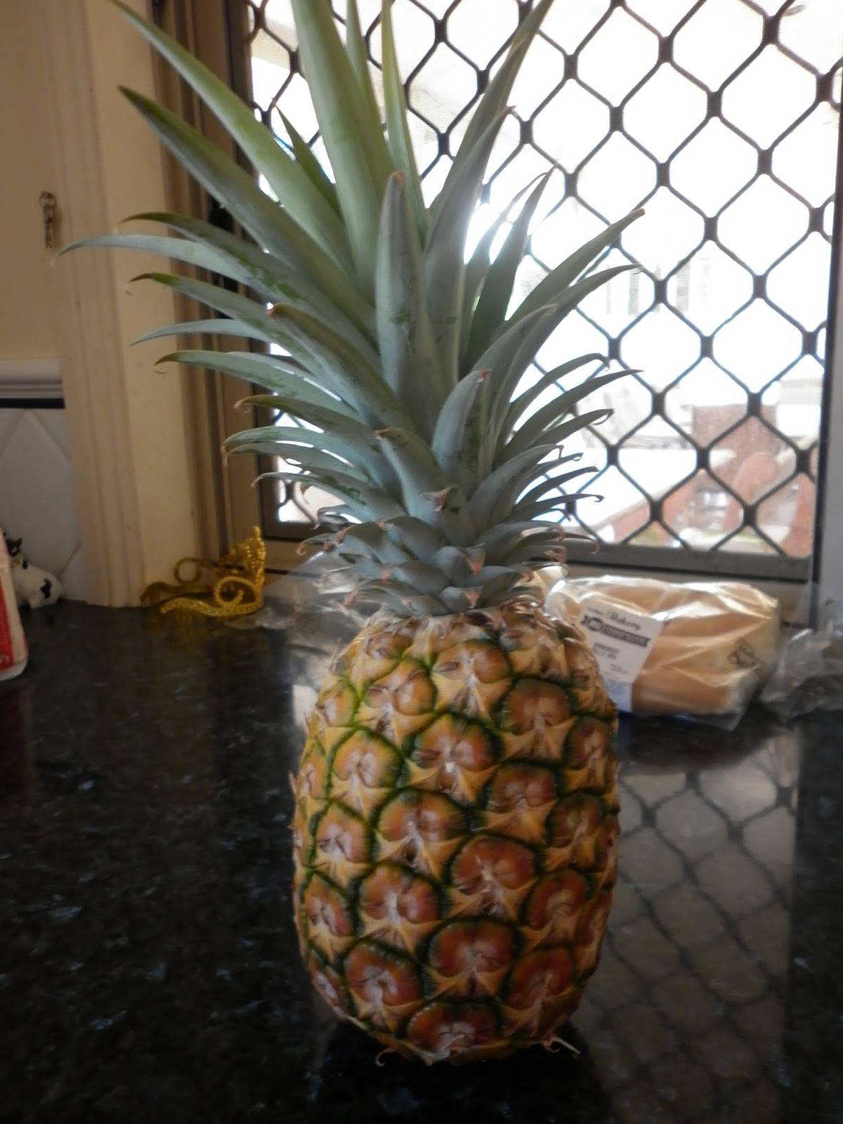 Pinky Poinker Pinky the Pineapple Head