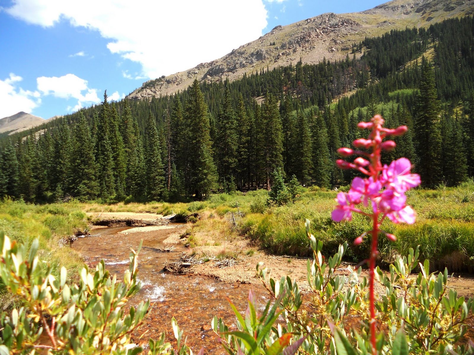 Mein Hiking Database Guanella Pass & Mt. Bierstadt