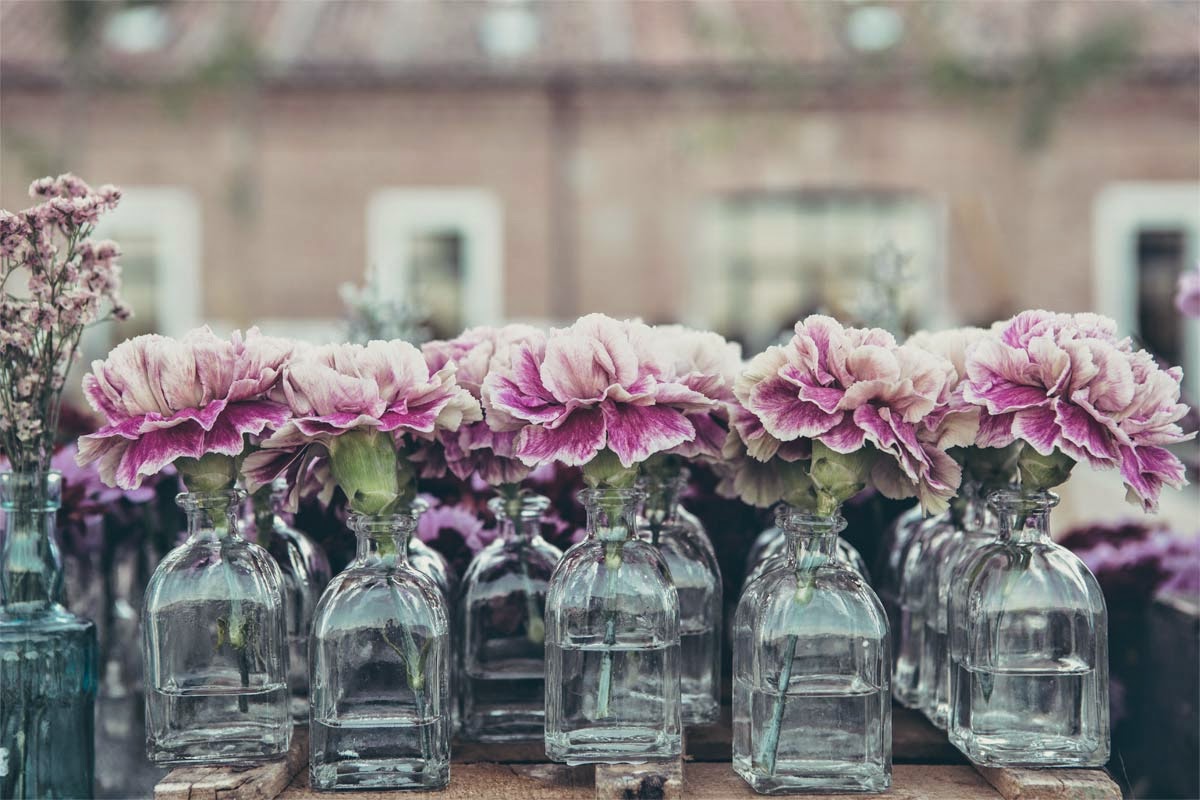 My wedding: La elección de las flores