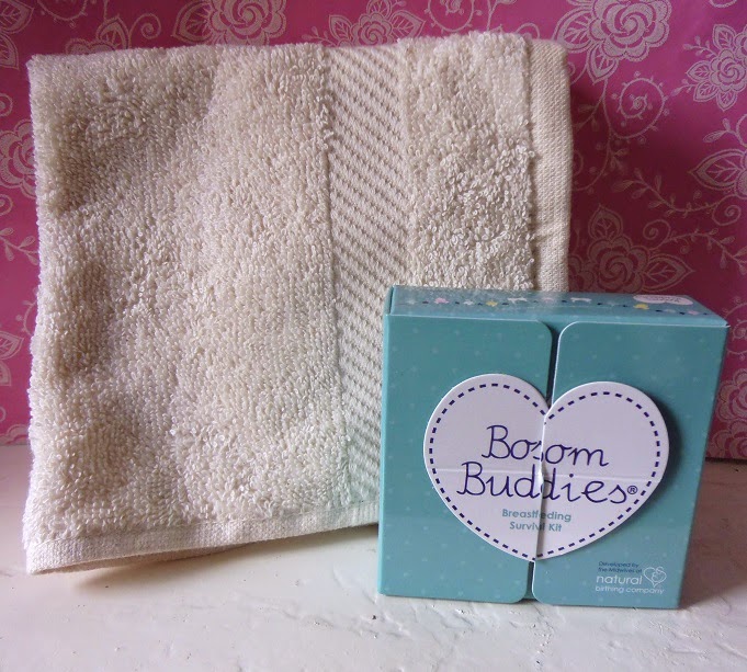 Review Natural Birthing Company Bosom Buddies Breastfeeding Survival