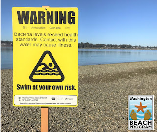 Yellow sign staked on gravel beach that says swim at own risk. Puget Sound is in the background.
