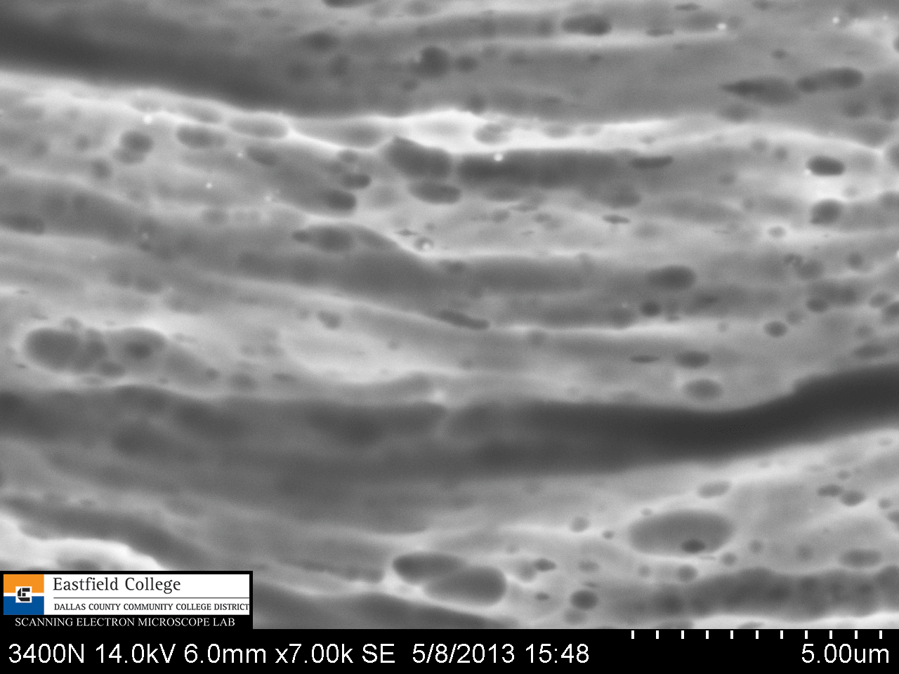 Scanning Electron Microscope Blog How Sharp is a Hypodermic Needle?