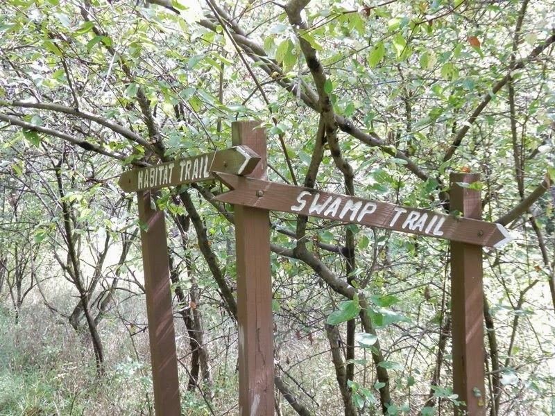 Southeastern PA Hiking Peace Valley Park