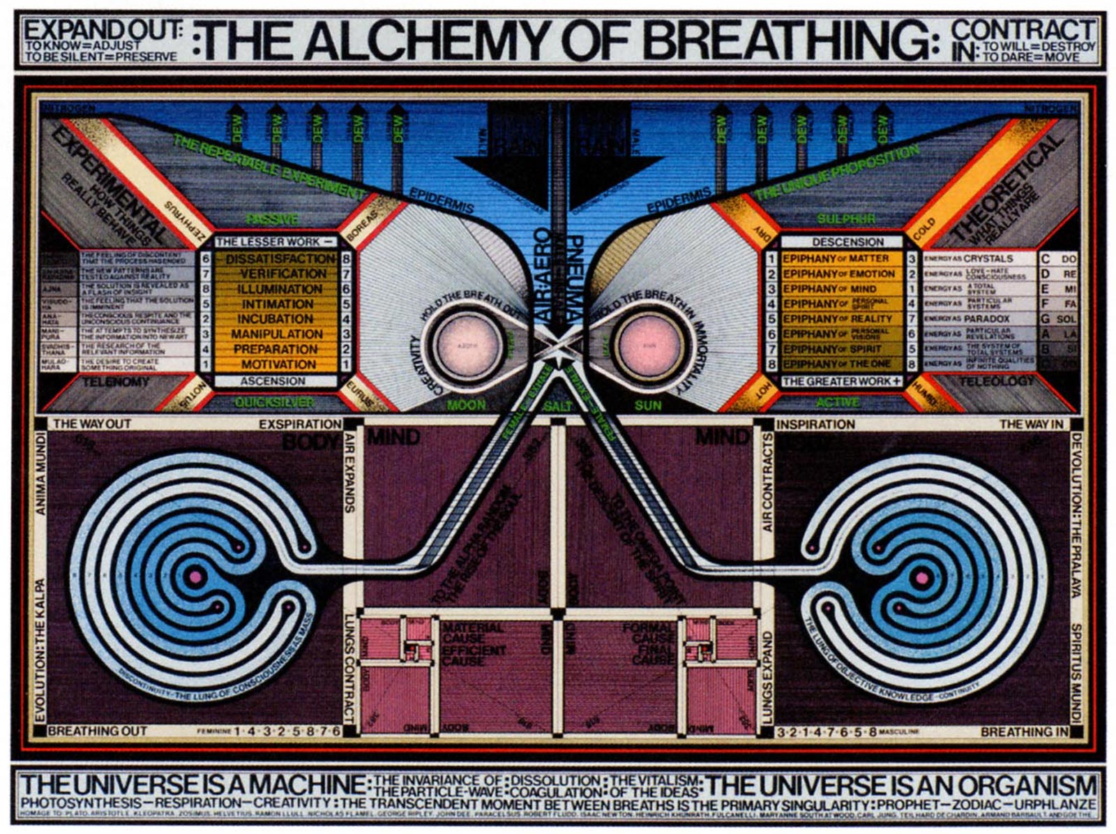 Guillaume Néry champion d'apnée enseigne le bien être Alchemy_of_breathing_lg