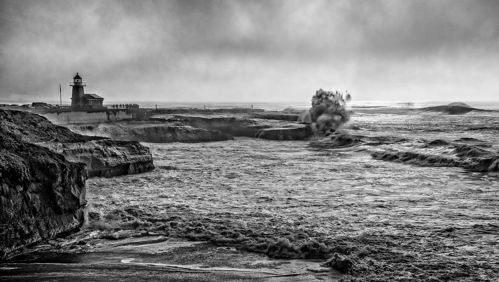 Forestdweller Steamer Lane