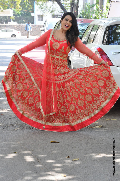 Diana Champika at Indrasena Movie Interview