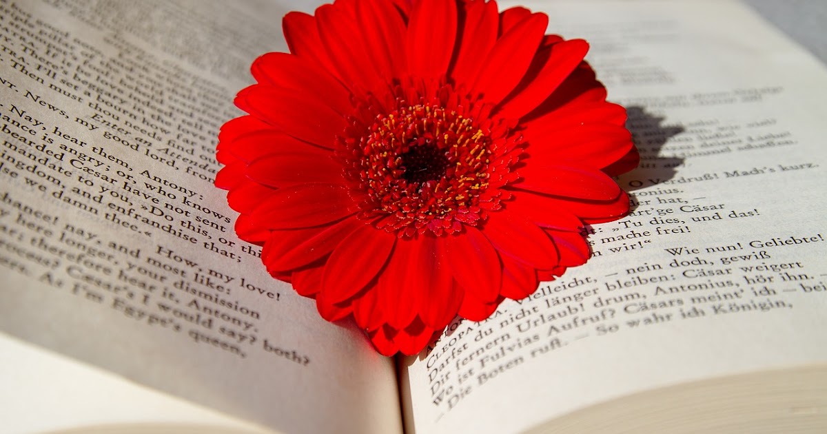 Not A Native Speaker