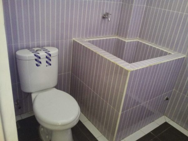 Desain Kamar Mandi Minimalis Ukuran 1X1 Dengan WC Duduk