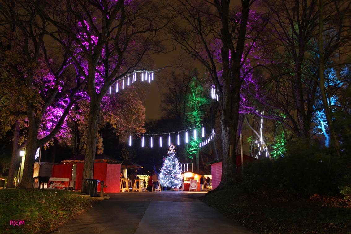 Usa Urlaubsplanung Fur Die Westkuste Chamy Travels