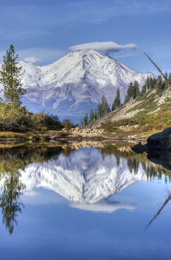 Mt. Shasta