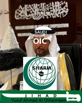 Saudi based and steered OIC violates Human Rights