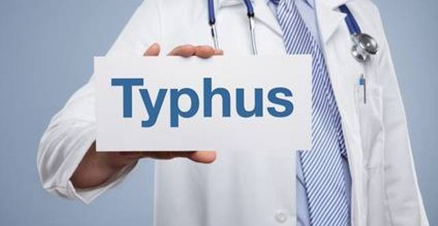 9 Symptoms of Typhus Disease In Children and Adults According to the Doctor