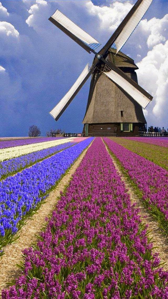 Paisajes y lugares hermosos: PAISAJES DE HOLANDA