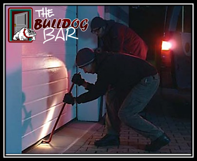 theBulldog Bar: Have a Ball... While Keeping Your Home Safe from ...