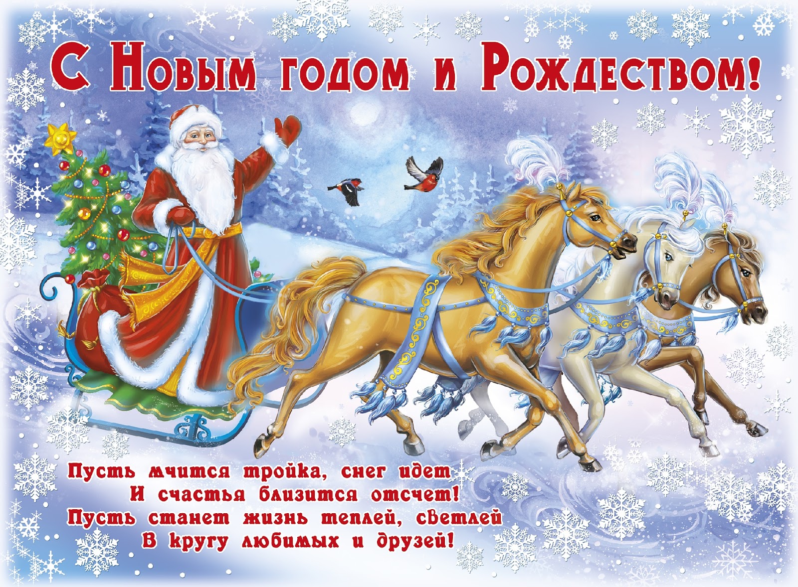 Равшан джамшут, открытки поздравления с новым годом и рождеством