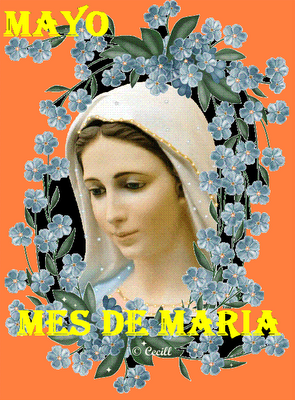 MAYO MES DE MARIA
