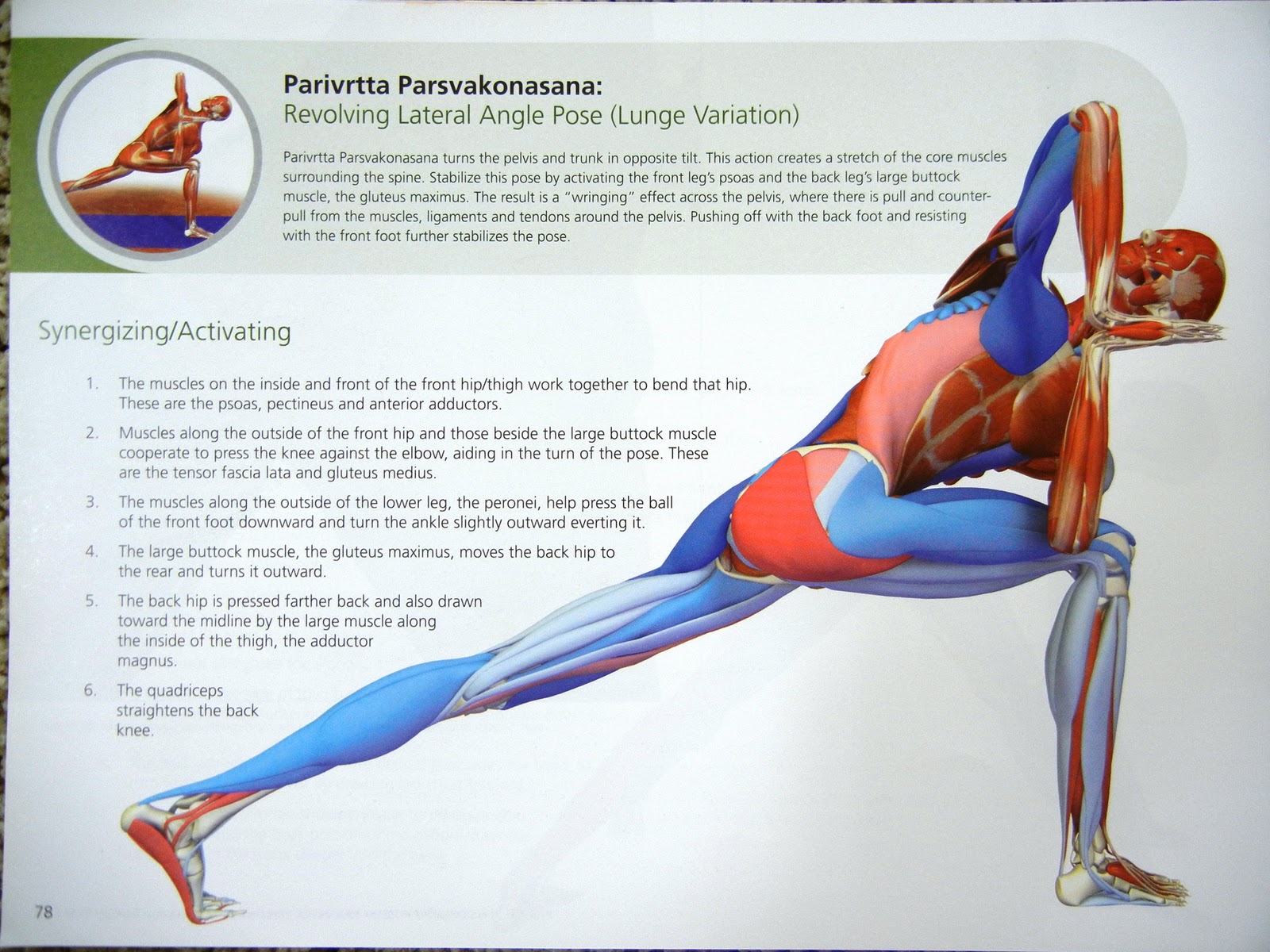 Connie York Yoga for Runners