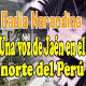 Radio Nor andina