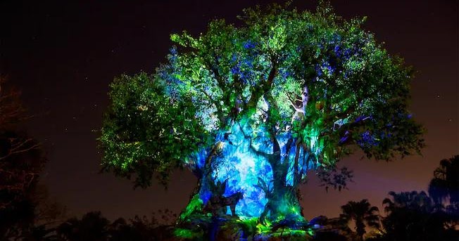 Tree of Life - Disney's Animal Kingdom Park.