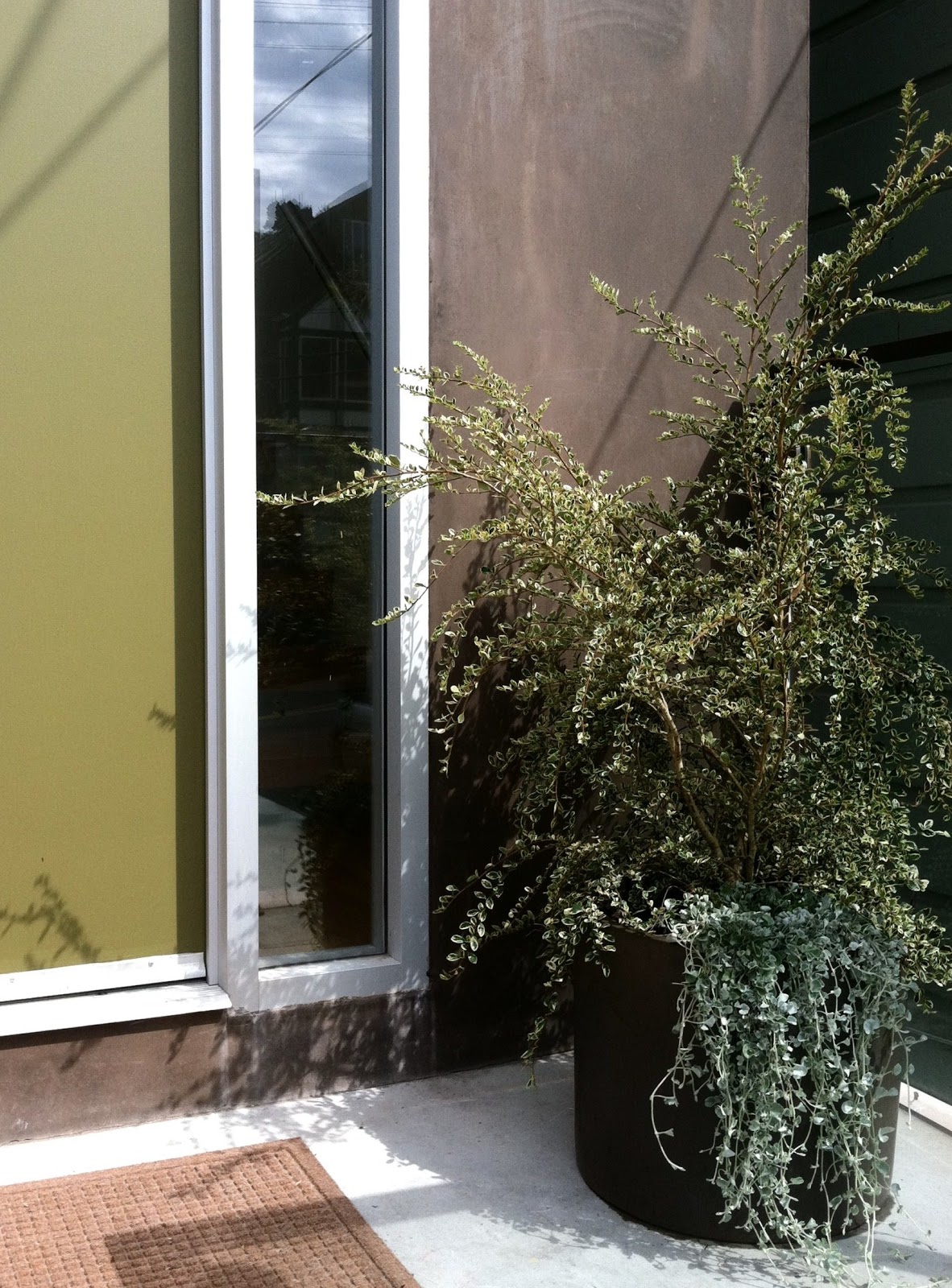 GreenHaven Staging Jobs.