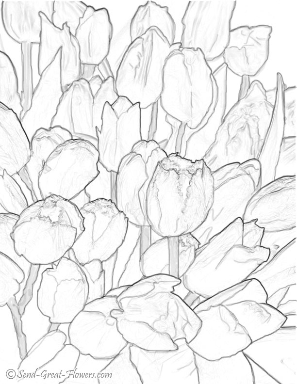 Girl With Spring Tulips Coloring Page For Kids Seasons