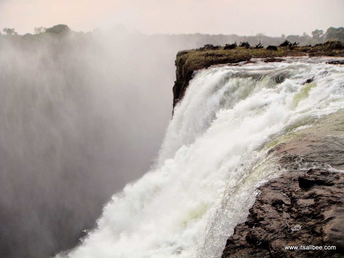 Victoria Falls | Dipping Into The Devil's Pool  A Dip Into The Devil's Pool At Victoria Falls #itsallbee #traveltips #adventure #vicfalls #africa vacation