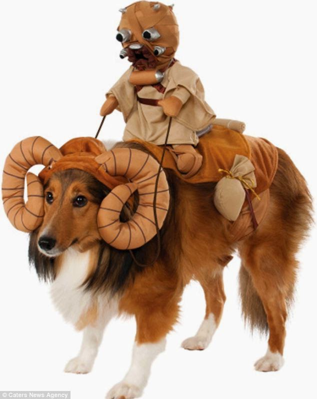 Star Wars Dog Halloween Costumes