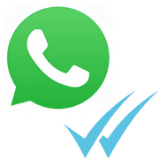 cara menonaktifkan tanda centang biru di whatsapp