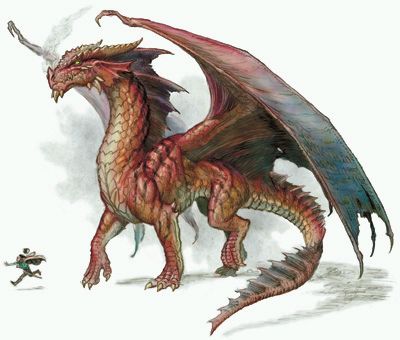 dragon2