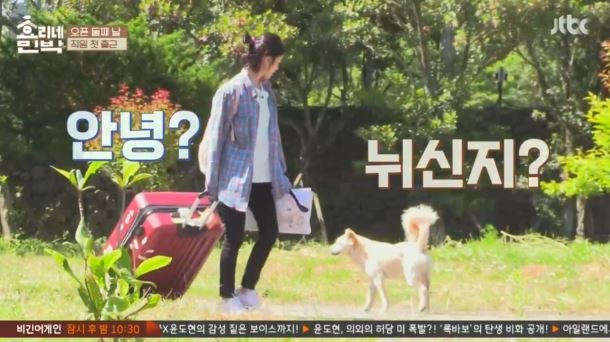 [효리네민박] 아이유의 등장에 사고회로에 문제가 온 남자들.jpg | 인스티즈