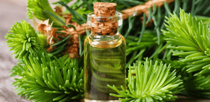 aceite esencial contra la vaginosis bacteriana