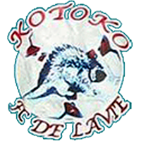 KOTOKO FC DE LAVI