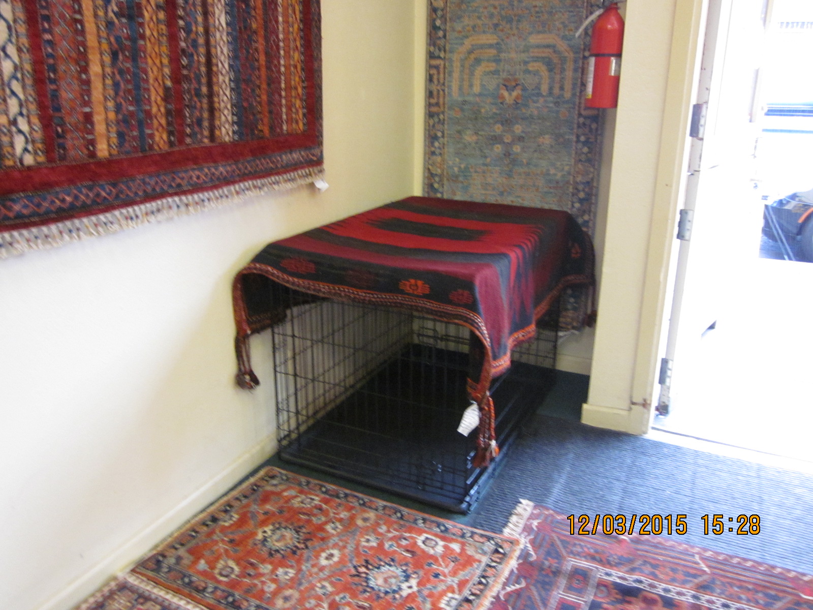 Curated visual reference: Gallery Detail: Undercoverruglover Dogs And Oriental Rugs How To Camouflage Your Dog