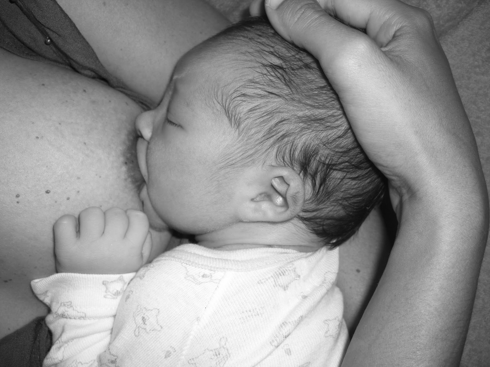 Érotisme Et Allaitement