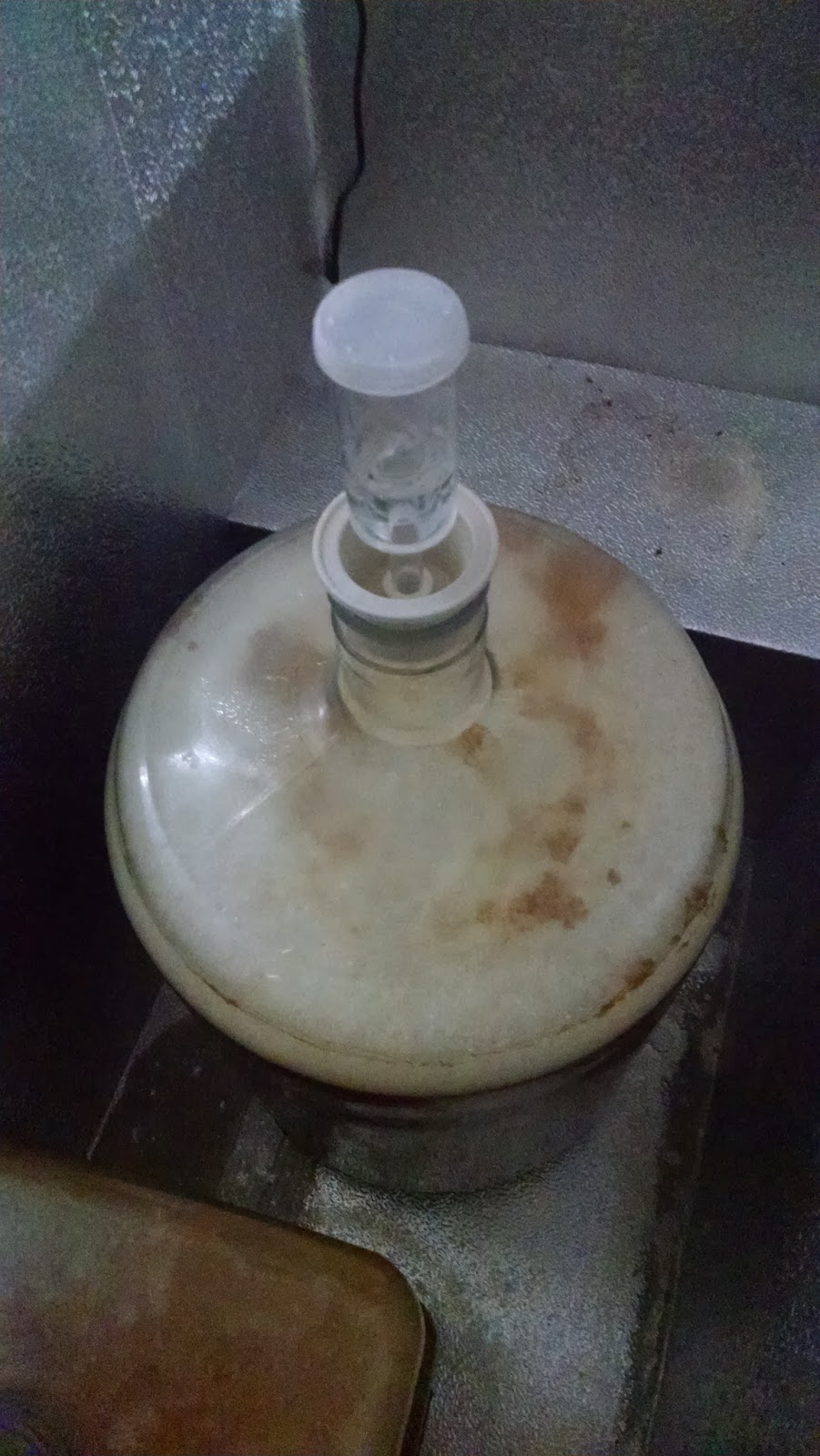 fermentology bell s two