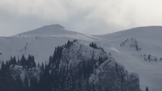 Alpine Plateau