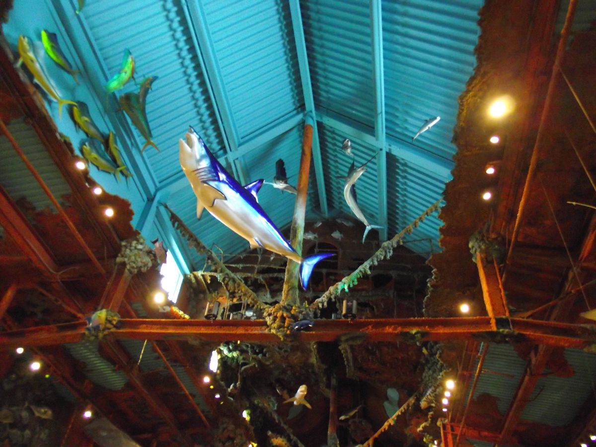 Blog de chasse au chevreuil à l'arc La pêche au Bass de Miami