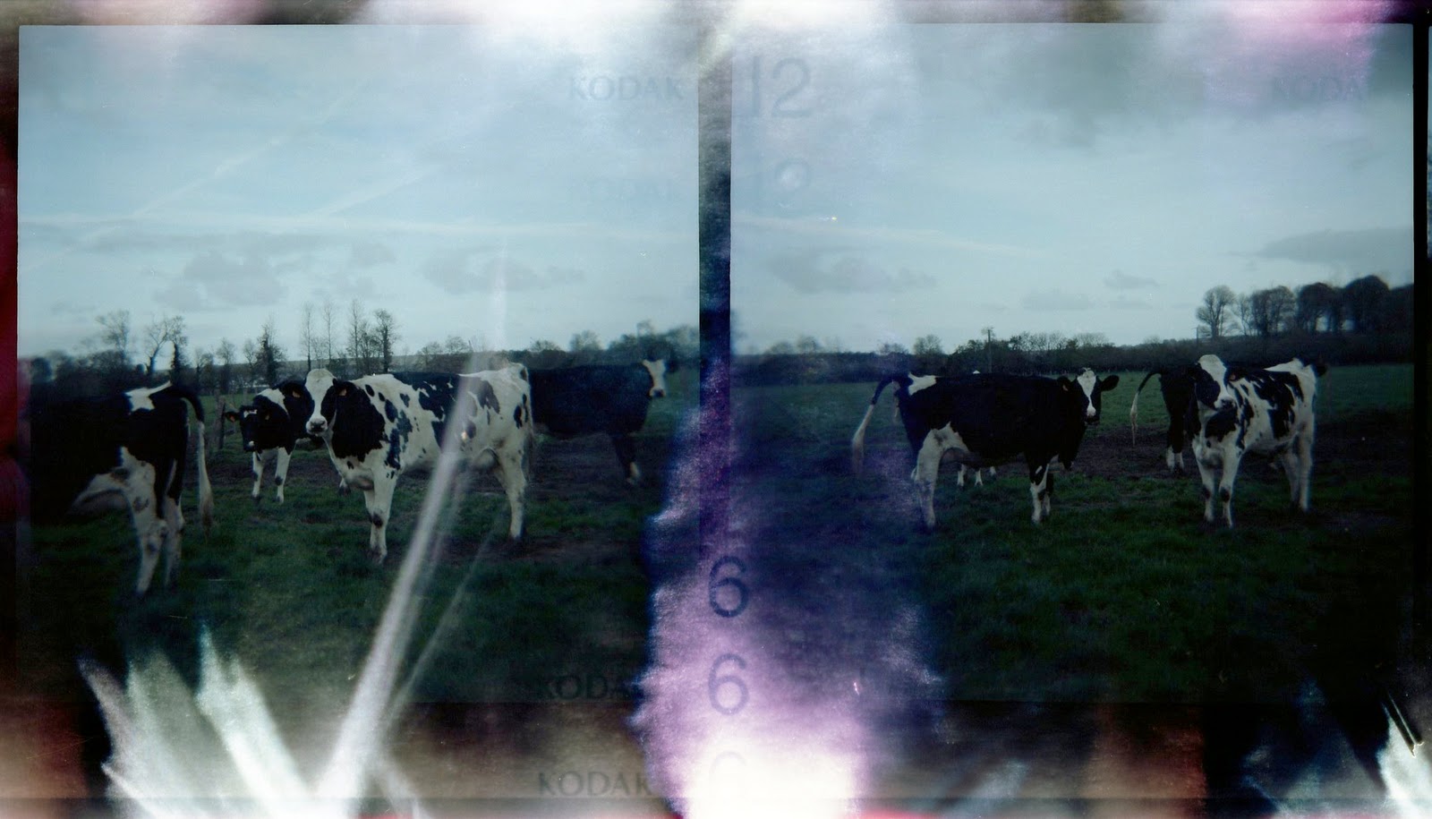 jouet appareil photo