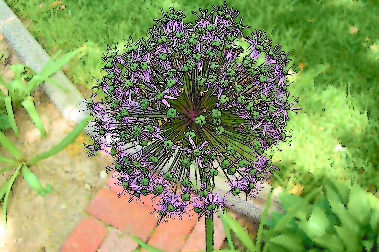 marylourambles: Cartoon mode