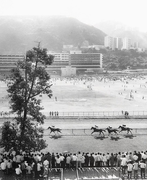 Foto: Yau Leung - "Racecourse (Happy Valley)". Foto: Yau Leung - "Racecourse (Happy Valley)". // imagenes chidas, historicas, bellas, old hong kong, blanco y negro, cool pictures, vintage photos.