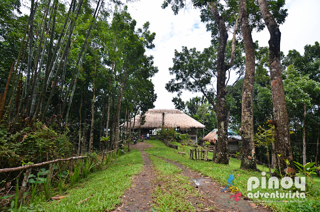 Melbas Farm Guest House Resort near Bacolod City